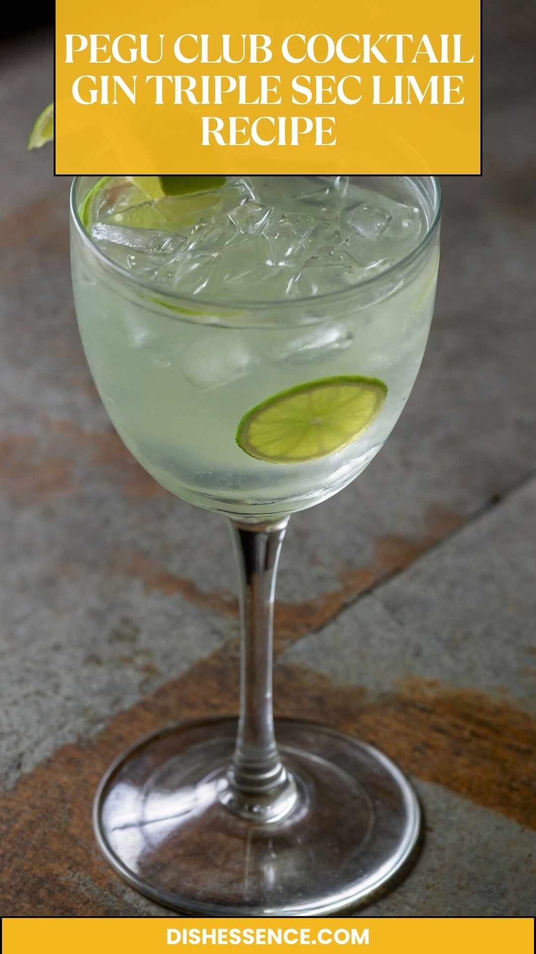 Pegu Club Cocktail Gin Triple Sec Lime Recipe – Dish Essence