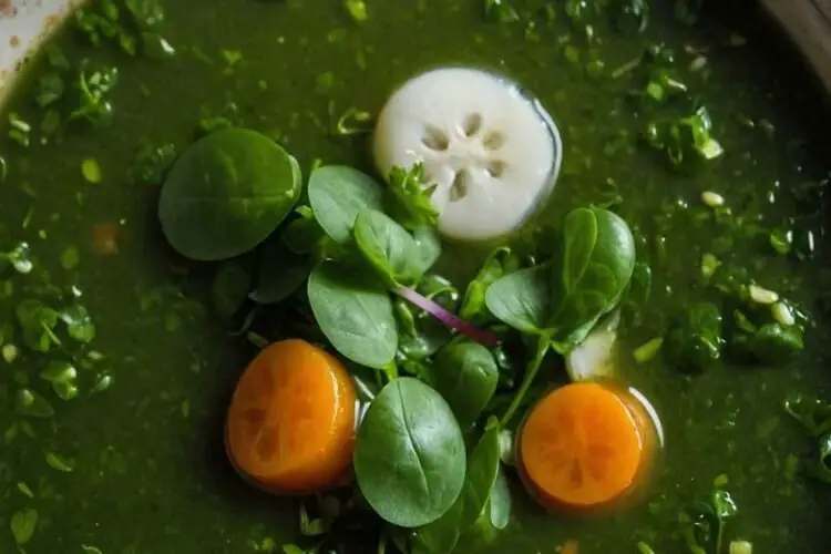Watercress Soup