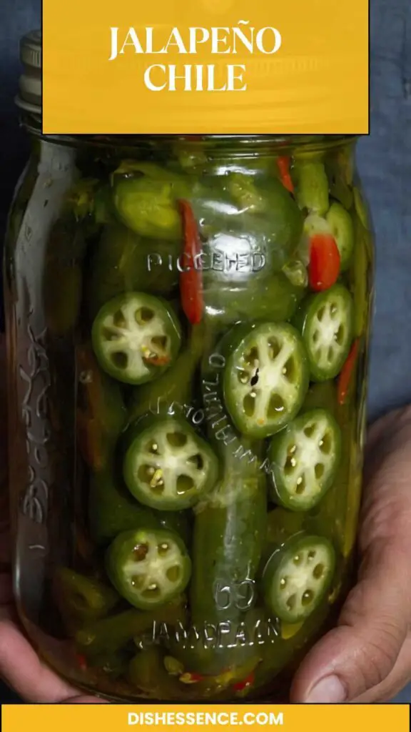 Jalapeño Chile Jalapeño Chile