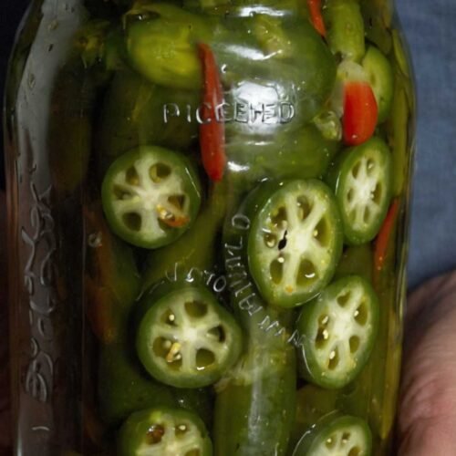 Jalapeño Chile