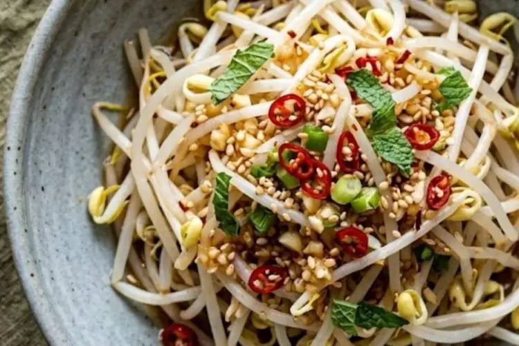 Bean Sprouts Salad Recipe